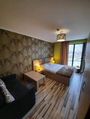 DL APARTMENT IN ORBI PALACE BAKURIANI